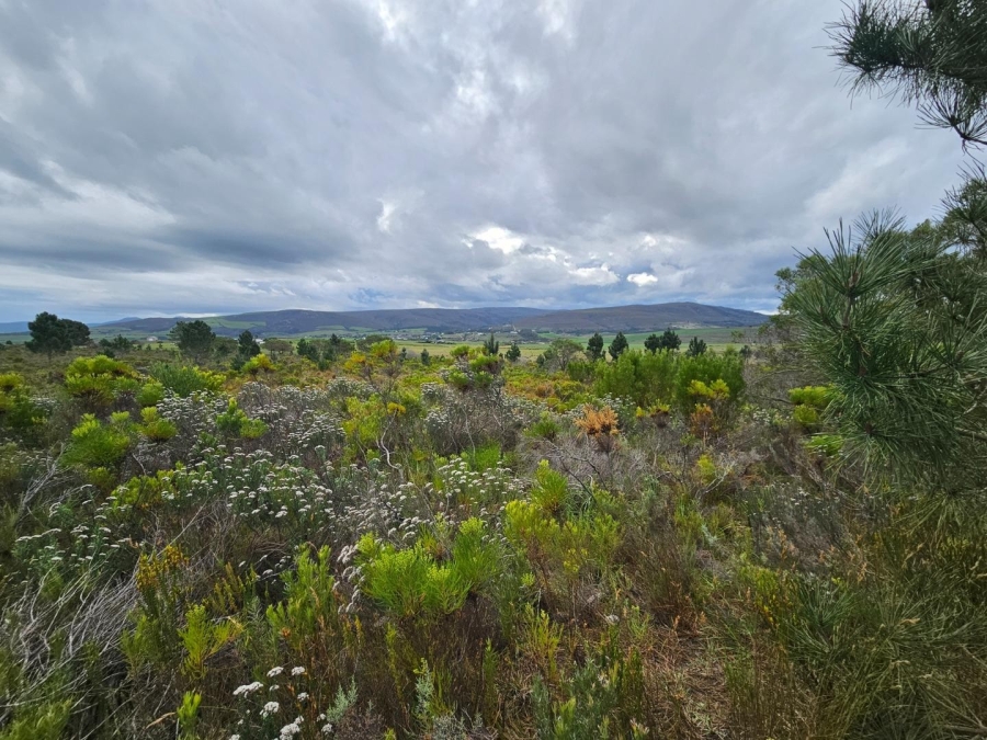 2 Bedroom Property for Sale in Baardskeerdersbos Western Cape